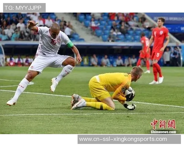 葡萄牙与冰岛激战正酣双方球员奋力拼搏争夺胜利