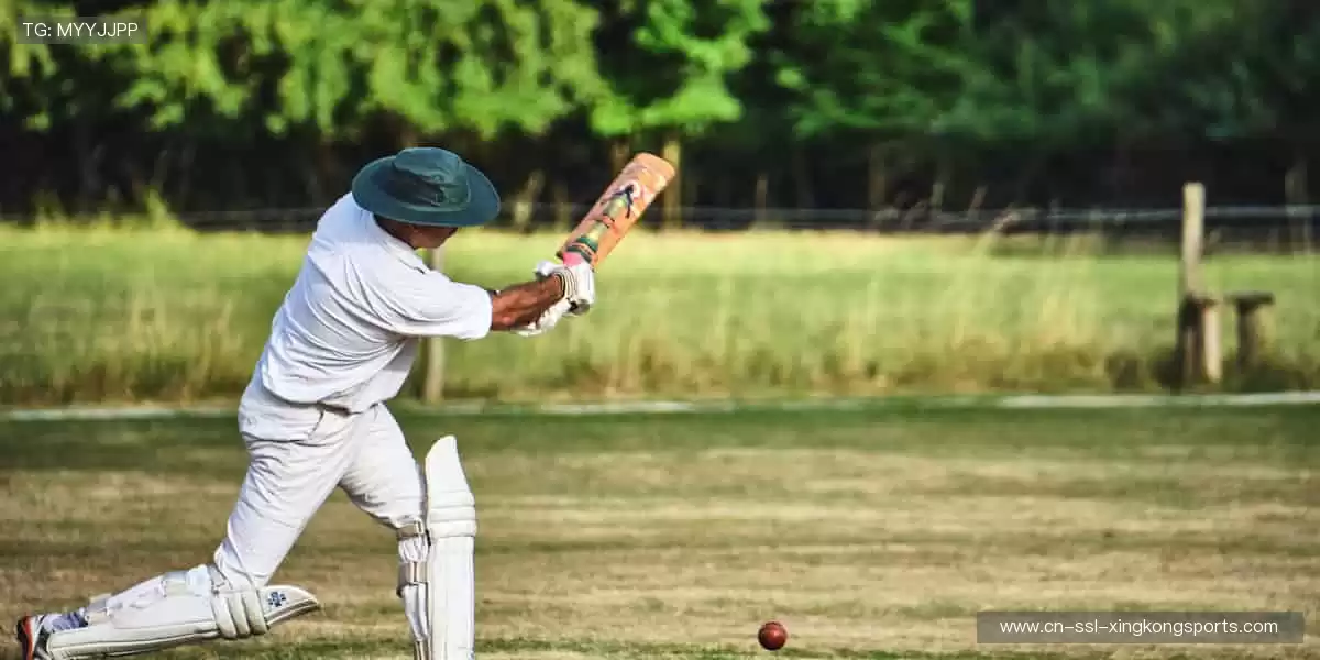 边看边聊，共享体育狂欢！💬🎉